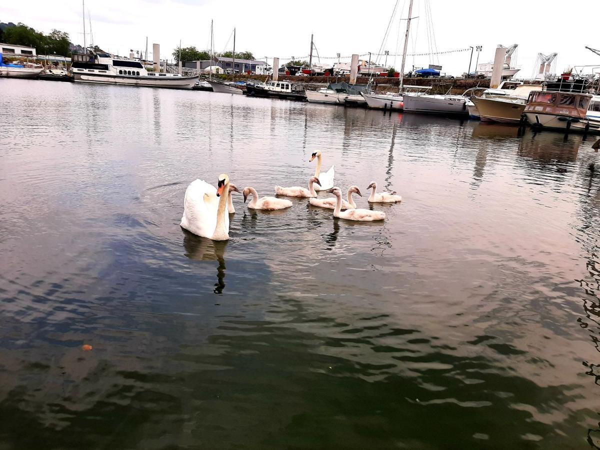 Bateau Le Zimon - Insolite Bateau-hôtel *