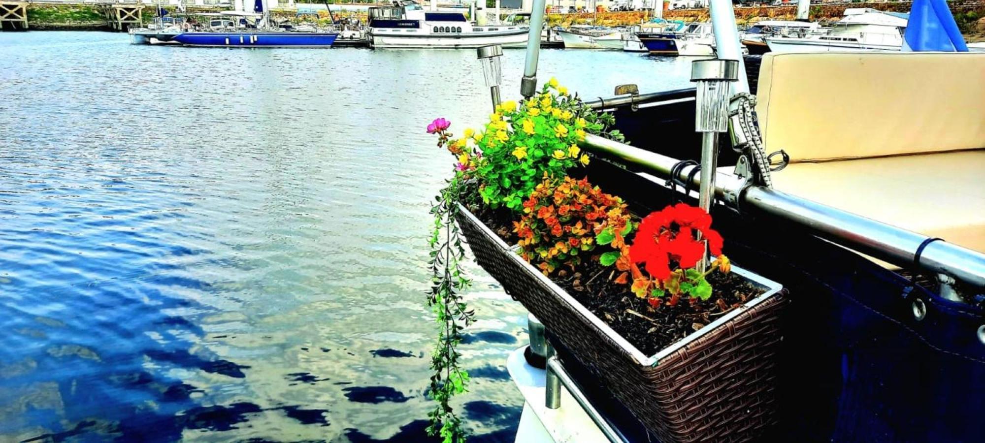 Bateau Le Zimon - Insolite Rouen